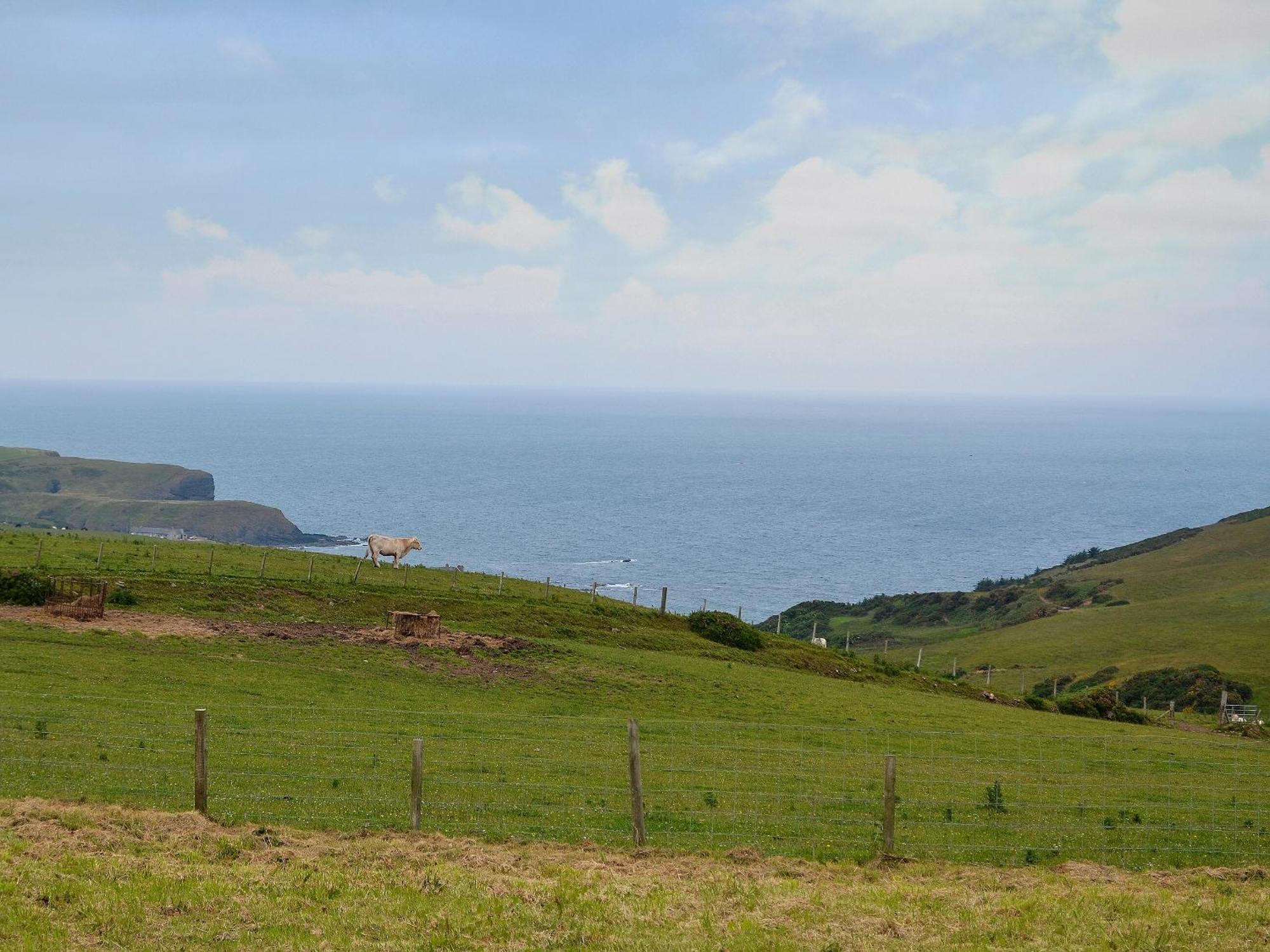 Mains Of Auchmedden Cottage Pennan Kültér fotó